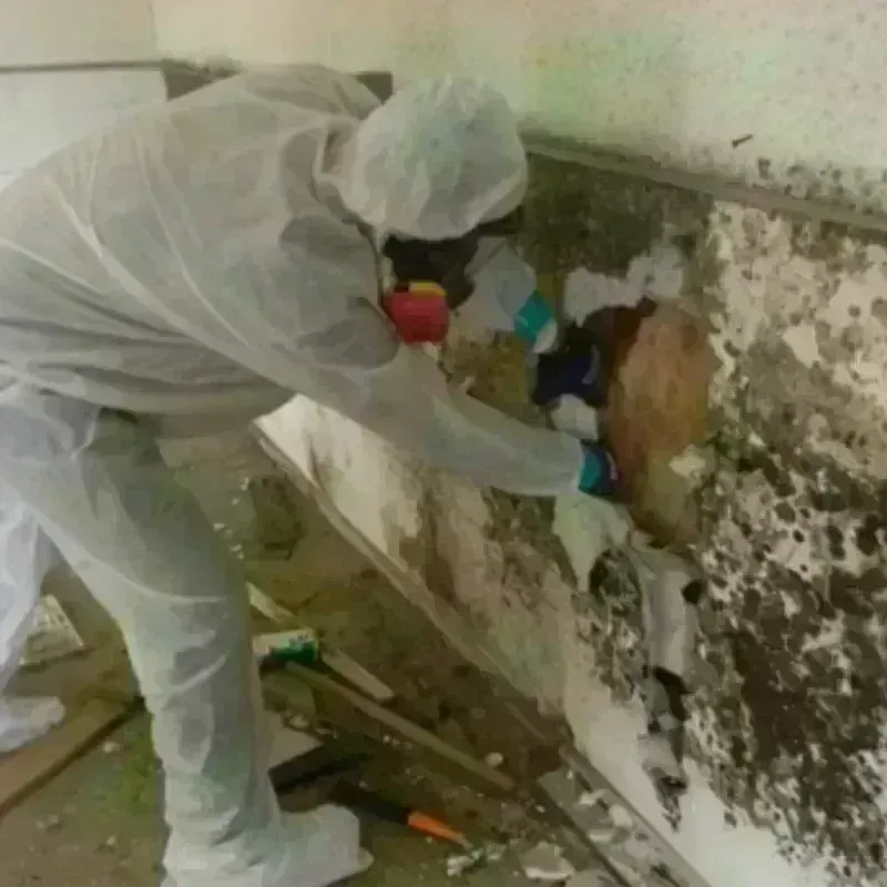 Mold Remediation and Removal in Valley Cottage, NY